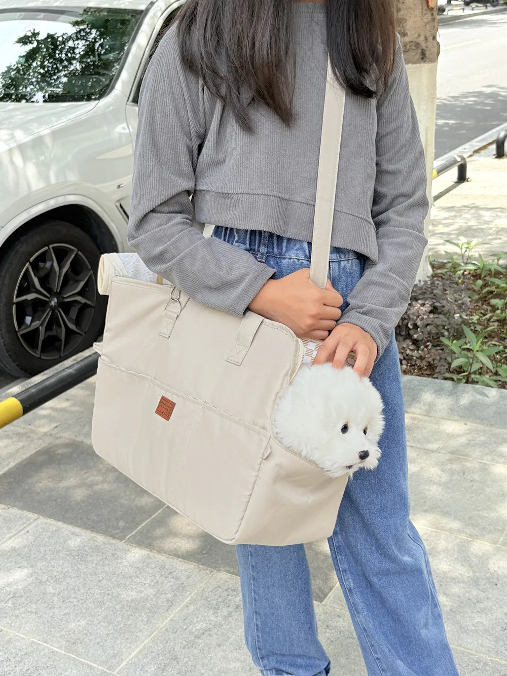 Sac de voyage pour chien